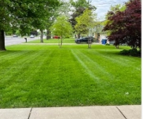 Commercial Diamond Lawn Striping
