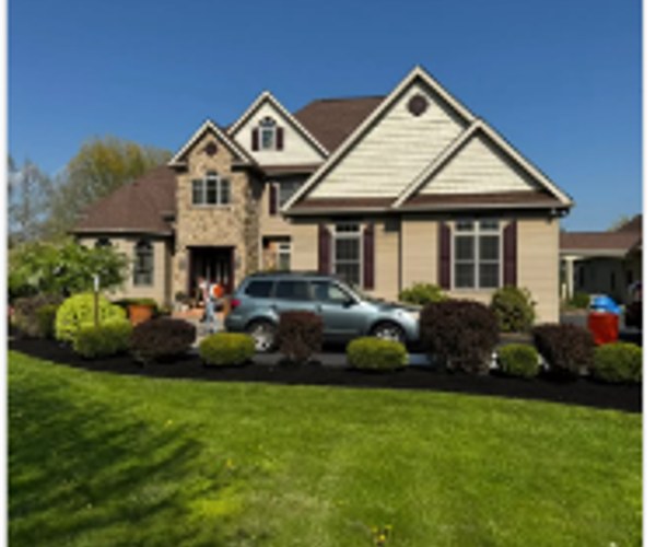 Deep Trench Edging & Midnight Black Mulch