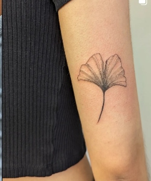 The Lucky Ginkgo Leaf